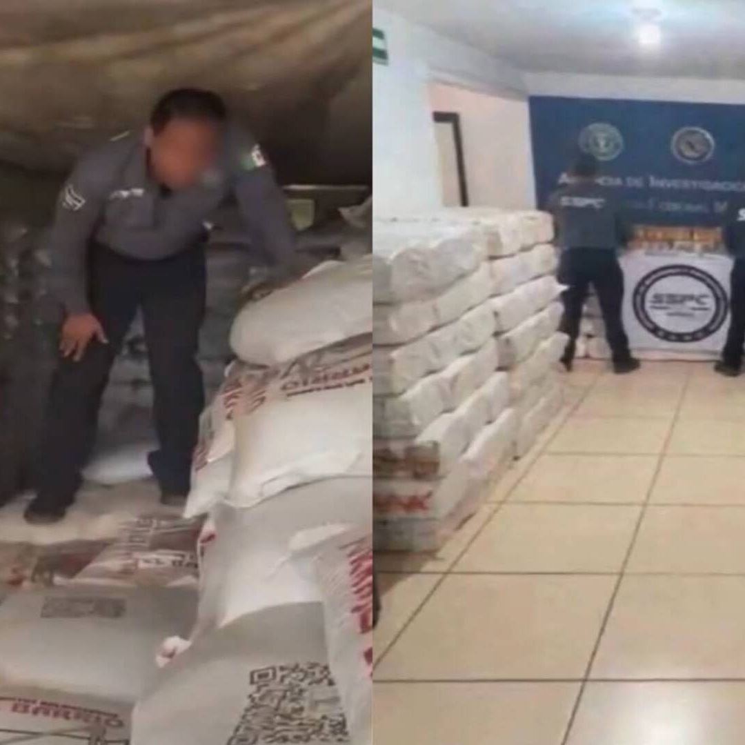 La droga venía oculta en bultos de alimento para ganado.